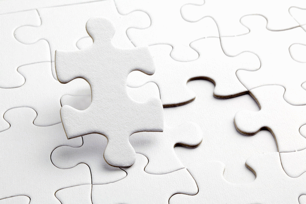 سگ ژرمن شپرد شولاین؛ ویژگی‌ها و نکات کلیدی نگهداری