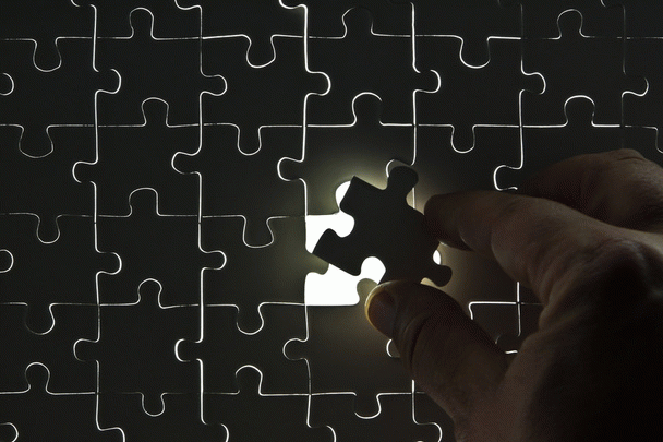 تضمین موفقیت با این 20 نکته در کسب درآمد آنلاین از فروش گل و گیاه